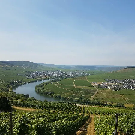 Wagner * 노이마겐드론